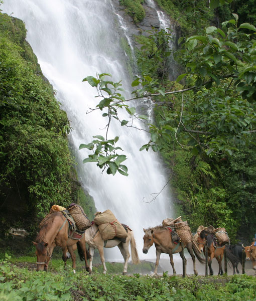 central-bhutan-tour